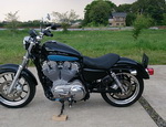     Harley Davidson XL883L-I 2012  12